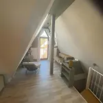 Loft Steingasse * 바트노이슈타트안더살레