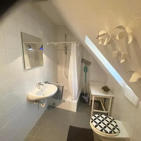Loft Steingasse