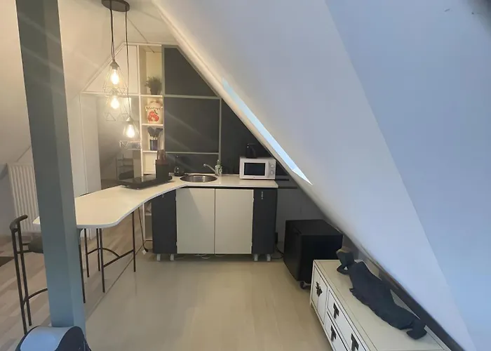 Loft Steingasse *
