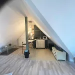 Апартаменты Loft Steingasse *